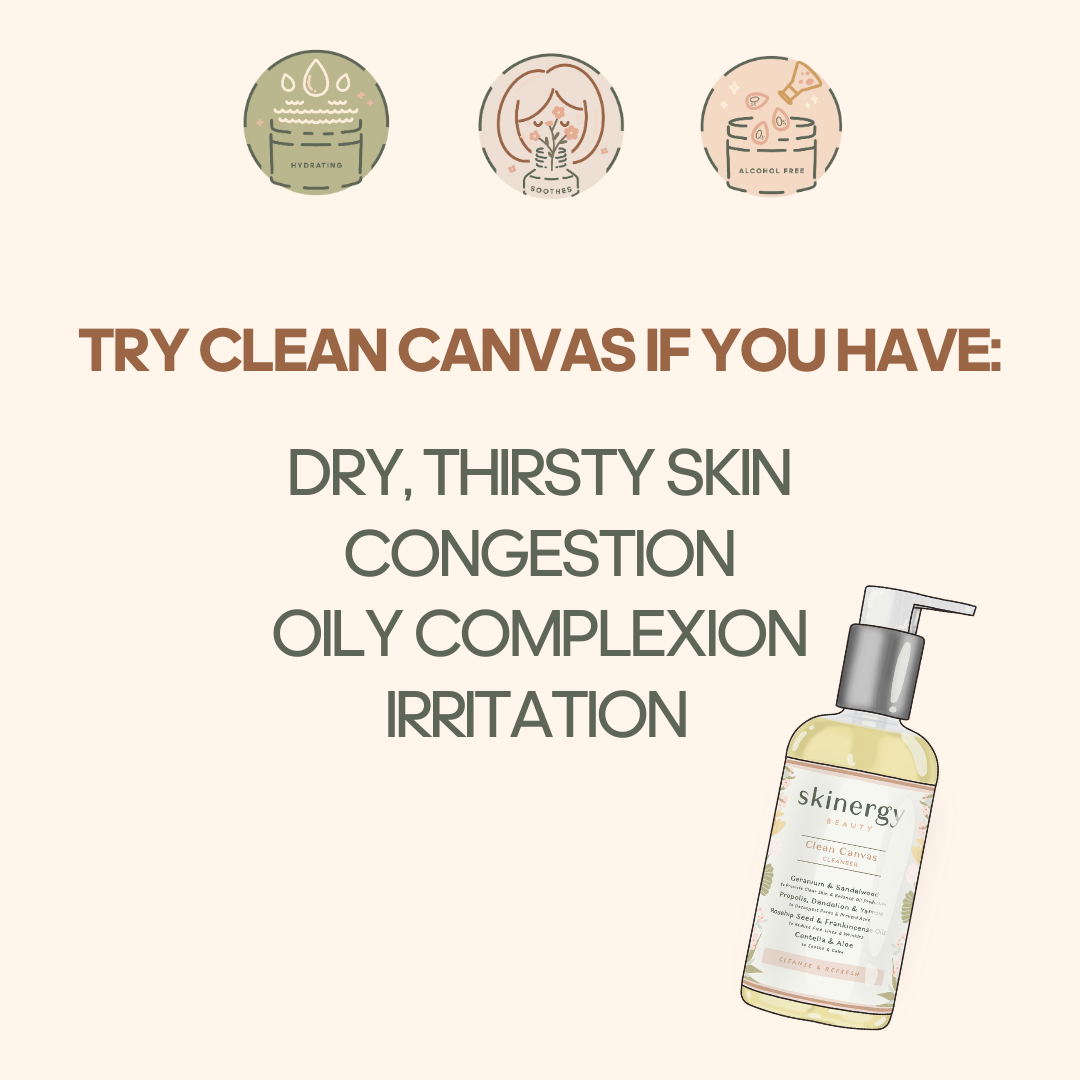 Clean Canvas Cleanser